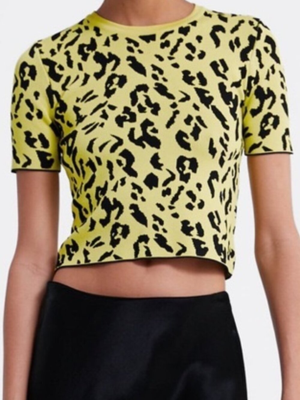 Zara Leopard Print Yellow Crop Top